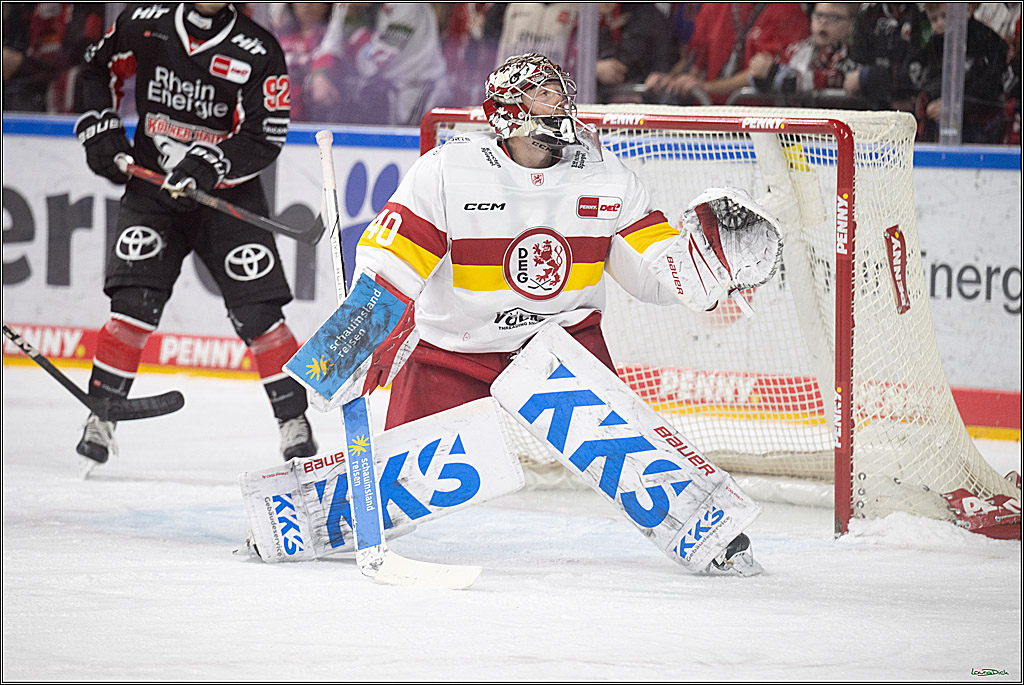 PENNY DEL; Koelner Haie-Duesseldorfer EG ; Koeln, 16.02.2025